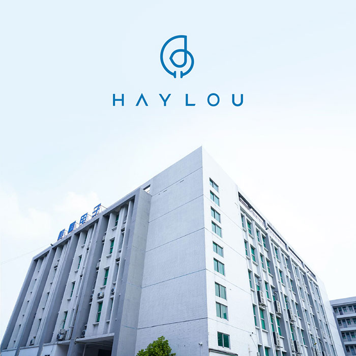 新価格】超軽量デザインの耳を塞がないオープンイヤー型! Haylou 軽量